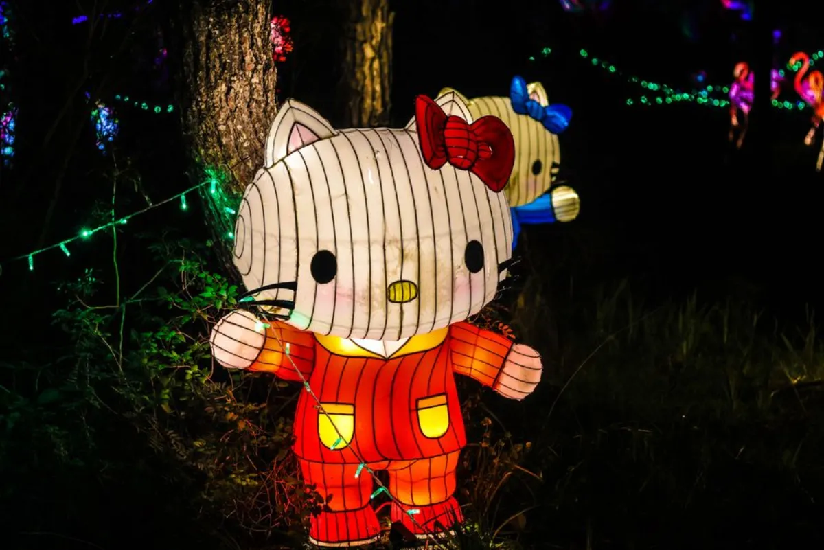 cartoon cat